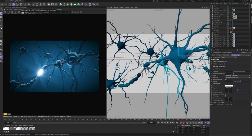 illustration médicale-Anne-Christel Rolling-3D-Cinema 4D-Neurone-physiologie-biologie