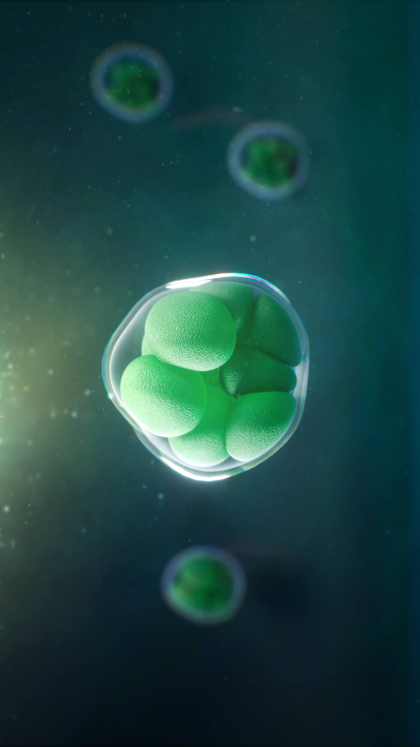 illustration_médicale_3D_Cellule_ Anne-Christel _Rolling